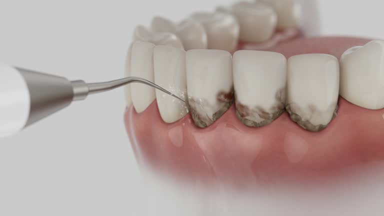 Reliable Dental contractor in Grenada, MS by Dentist Open Now